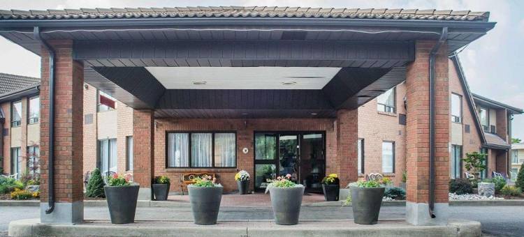 舒适酒店(Comfort Inn)图片