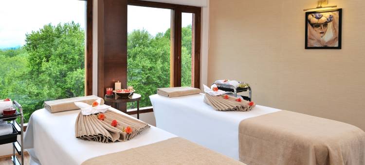 金色郁金香斯里纳格(Golden Tulip Srinagar)图片