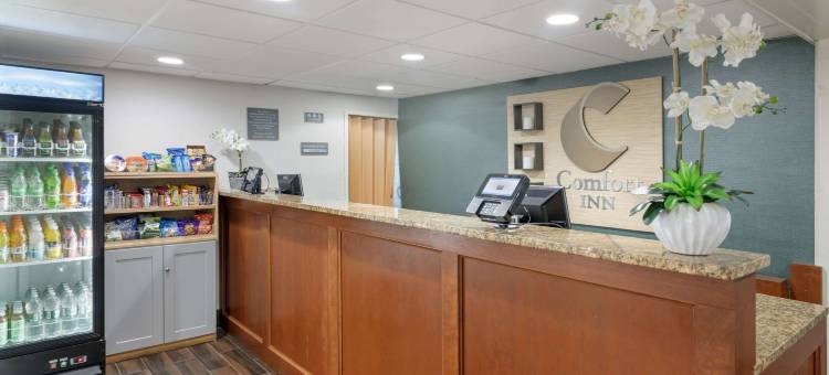 机场舒适酒店(Comfort Inn Airport)图片