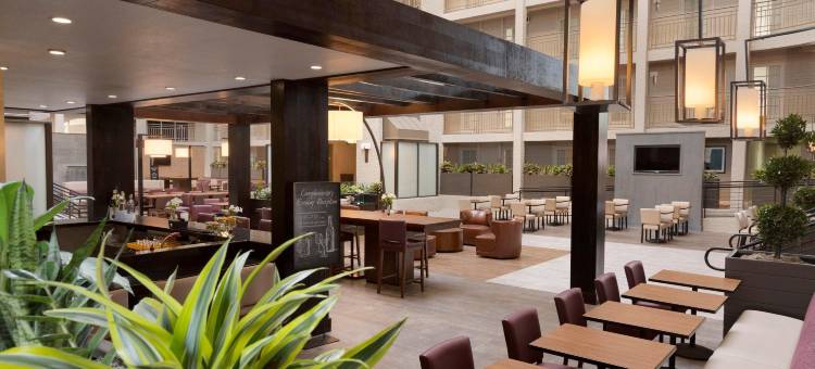 埃尔帕索希尔顿安泊套房酒店(Embassy Suites by Hilton El Paso)图片