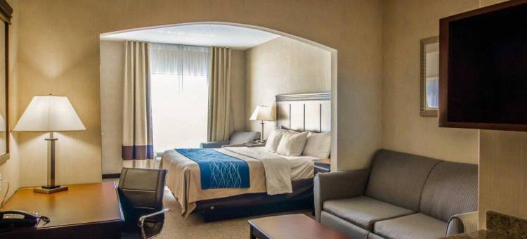 洋滨市舒适酒店(Comfort Inn & Suites Ocean Shores)图片