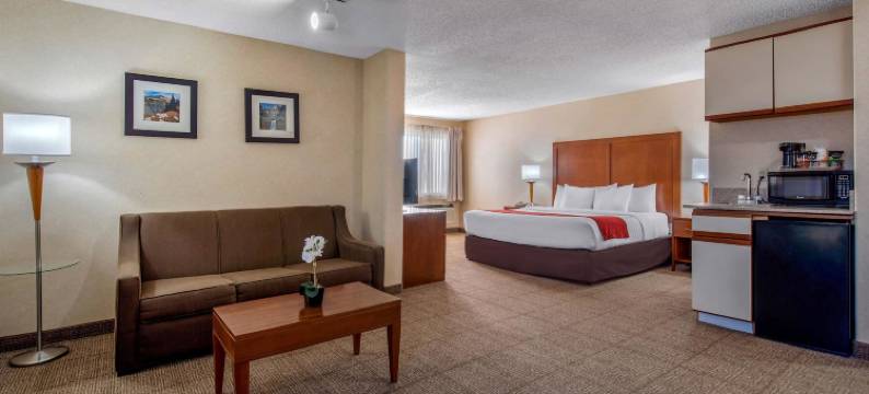丹佛东南区舒适酒店(Comfort Inn Denver Southeast Area)图片