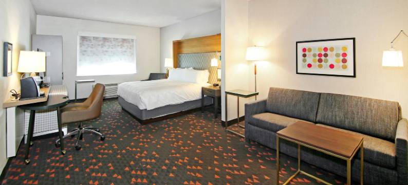 卡尔加里机场北假日酒店及套房(Holiday Inn & Suites CALGARY AIRPORT NORTH by IHG)图片