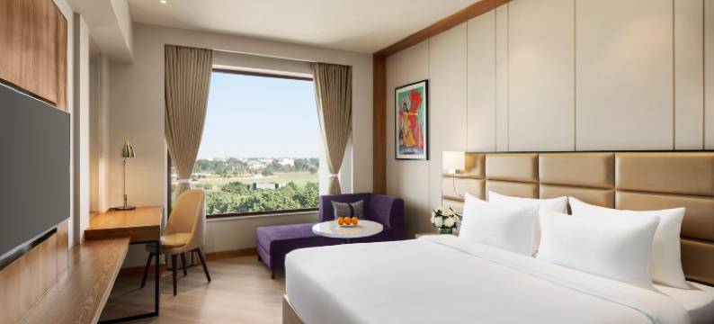 阿姆利则尔机场温德姆华美达安可酒店(Ramada Encore by Wyndham Amritsar Airport)图片