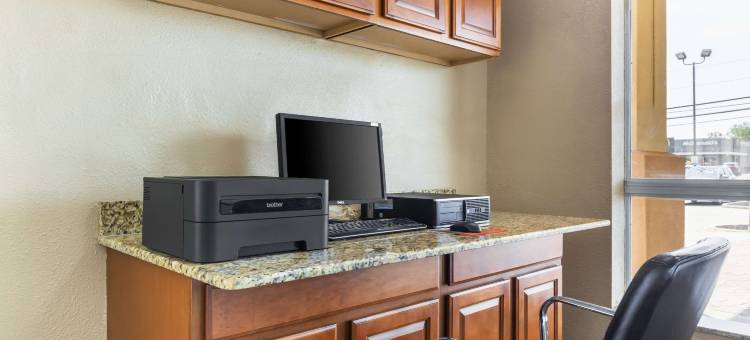 切萨皮克朴茨茅斯舒适套房酒店(Comfort Inn & Suites Chesapeake - Portsmouth)图片