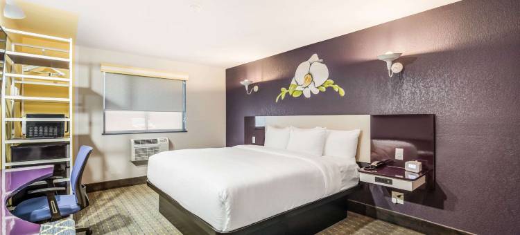 塔拉哈西州国会凯隆波因特酒店(Clarion Pointe Tallahassee-State Capitol)图片