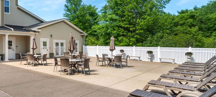 舒适酒店套房(Comfort Inn & Suites)图片