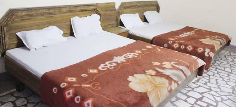 狮子酒店(Hotel Lions)图片