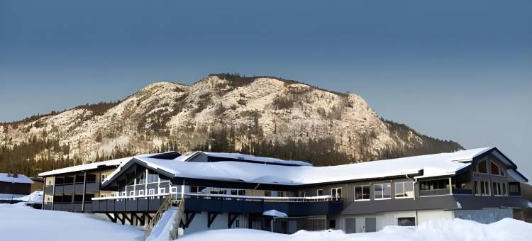 艾瑞克斯花园福尔酒店(Eriksgårdens Fjällhotell)图片