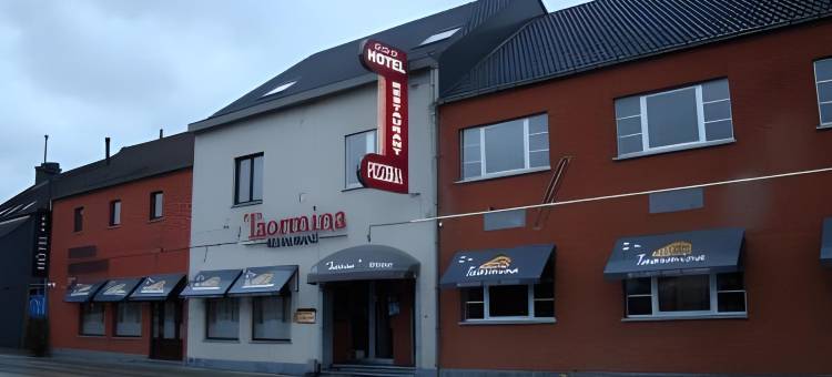 陶尔米纳布鲁塞尔机场酒店(Hotel Taormina Brussels Airport)图片