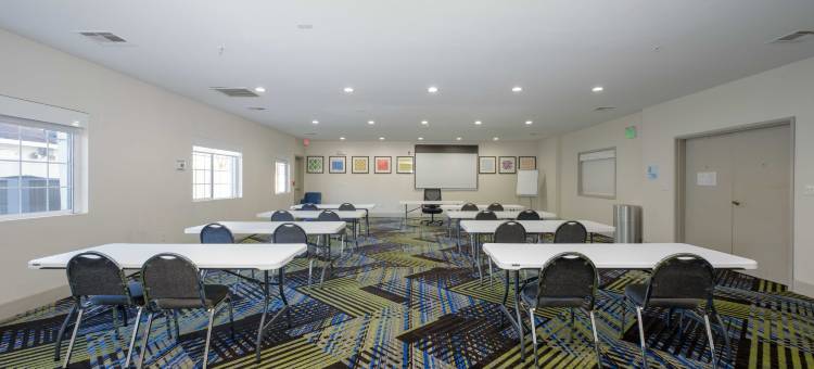 智选假日套房酒店卡尔斯巴德(Holiday Inn Express & Suites Carlsbad)图片