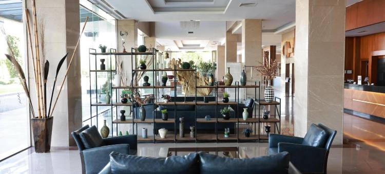 代尼兹利阿奈蒙酒店(Anemon Grand Denizli Otel)图片