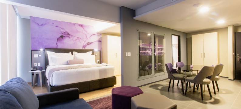 墨西哥城康德萨南 HS Hotsson(HS Hotsson Cdmx Condesa Sur)图片