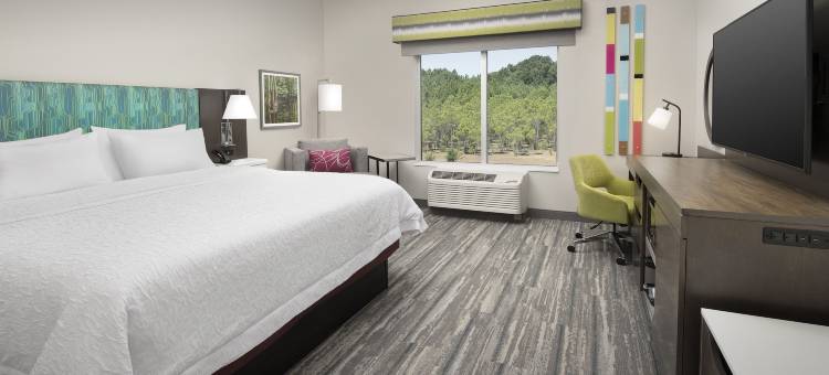 列克星敦哥伦比亚欢朋旅馆及套房(Hampton Inn and Suites by Hilton Lexington Columbia)图片