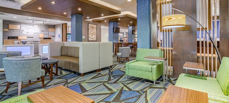 埃尔克哈特北智选假日套房酒店(Holiday Inn Express & Suites Elkhart North)图片