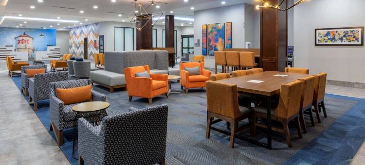 达拉斯拉昆塔温德姆酒店套房-弗赖拉辛体育场(La Quinta Inn & Suites by Wyndham Dallas - Frisco Stadium)图片