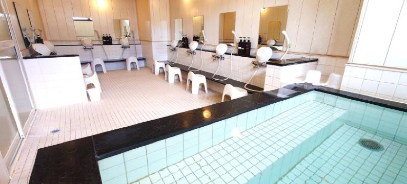 滨松站前Select Inn酒店(Hotel Select Inn Hamamatsu Ekimae)图片