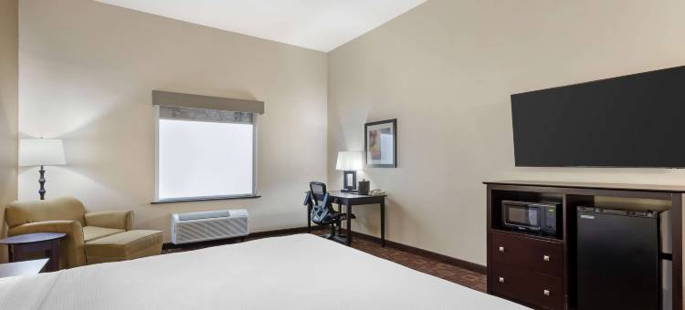 戈利亚德贝斯特韦斯特优质套房酒店(Best Western Plus Goliad Inn  Suites)图片