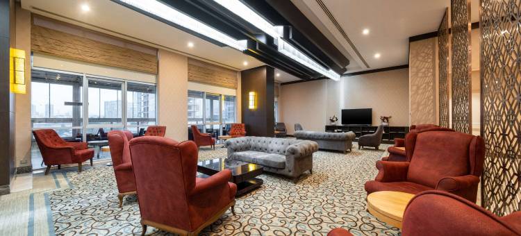 伊斯坦布尔玛姆特贝克拉丽奥酒店(Clarion Hotel Istanbul Mahmutbey)图片