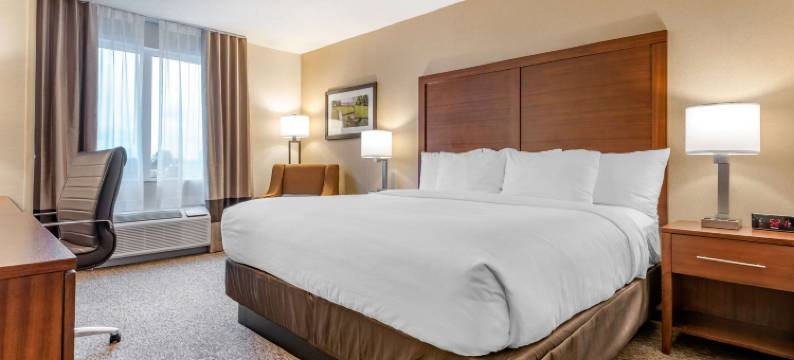 舒适套房酒店(Comfort Inn & Suites)图片