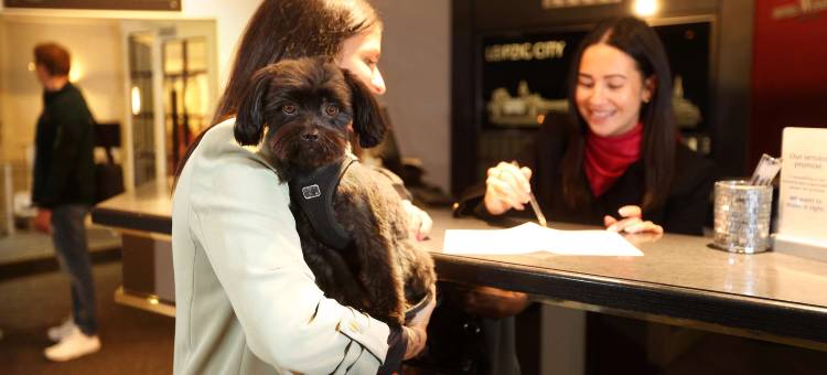 温多尔夫贝斯特韦斯特酒店(Best Western Hotel Windorf)图片