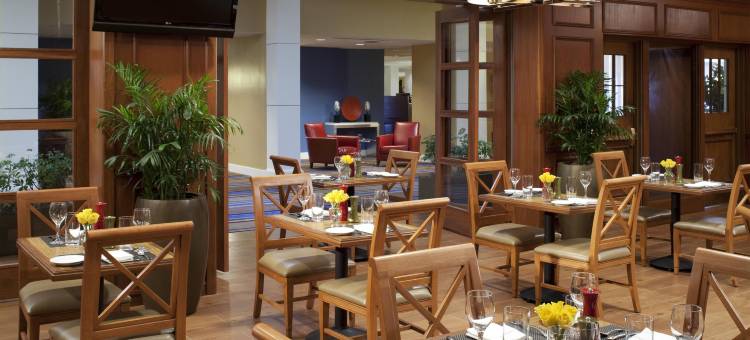 阿尔伯克基上城区喜来登酒店(Sheraton Albuquerque Uptown)图片