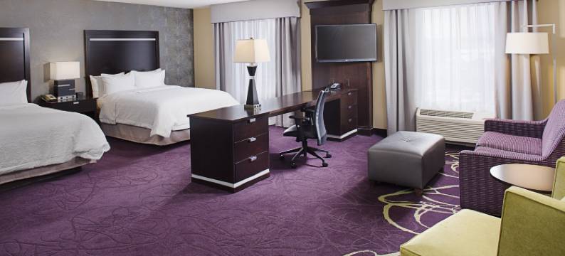 兰辛西部欢朋套房酒店(Hampton Inn & Suites Lansing West)图片