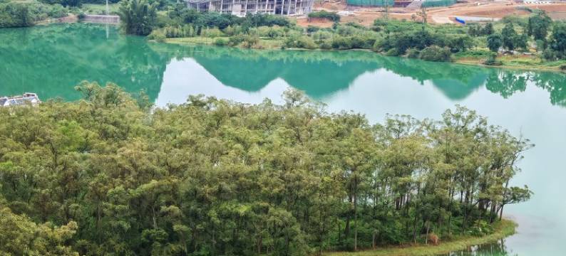 靖西山水禅居庆姐姐公寓(幸福路1号分店)图片