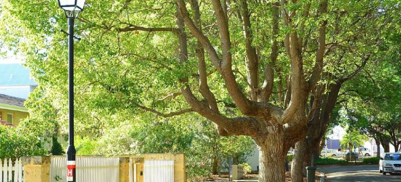 Rupert Retreat 2图片