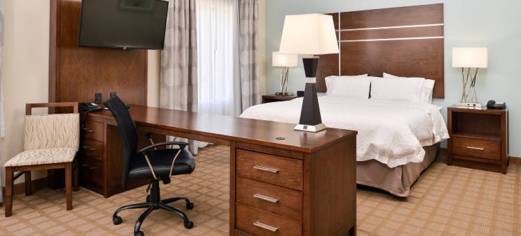 哈托欢朋酒店(Hampton Inn & Suites by Hilton Hutto Austin)图片