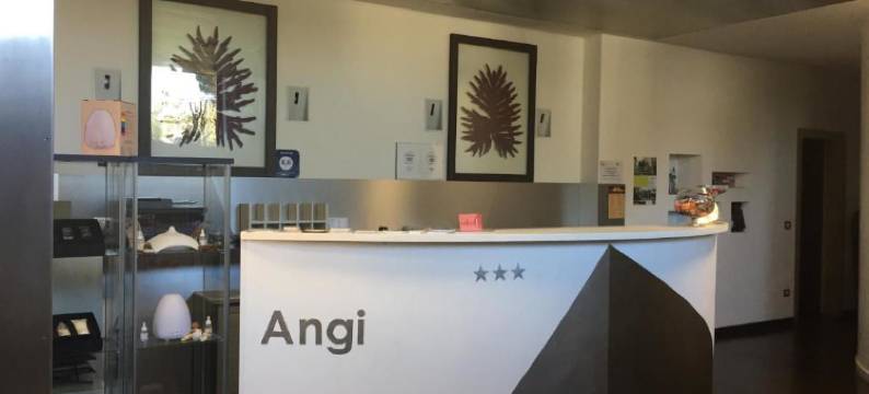 安吉酒店(Hotel Angi)图片