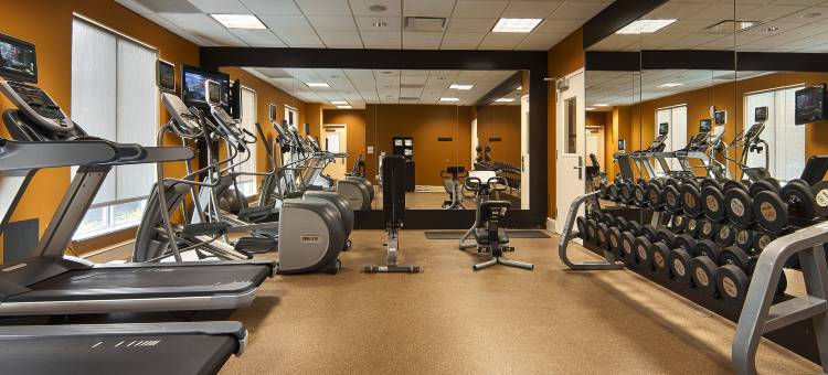 休斯顿加勒里亚区希尔顿花园酒店(Hilton Garden Inn Houston/Galleria Area)图片
