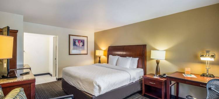 克拉丽奥酒店及套房-中央清水海滩(Clarion Inn & Suites Central Clearwater Beach)图片