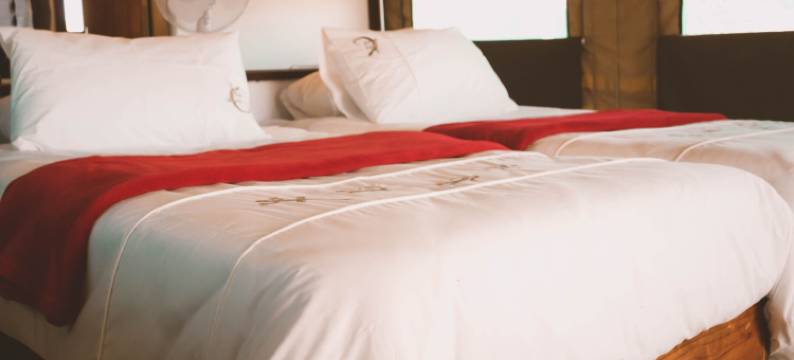 棕榈营地2Go(Palmwag Camping2Go)图片