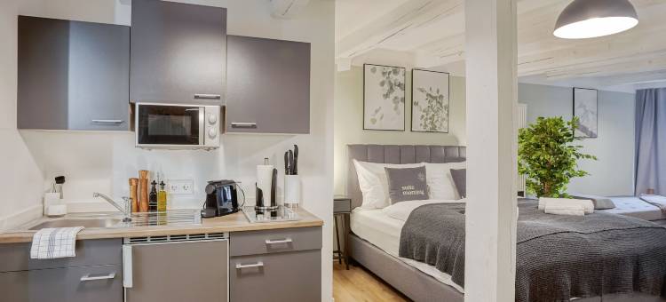 limehome 梅克伦堡主市场(Limehome Zwickau Hauptmarkt)图片