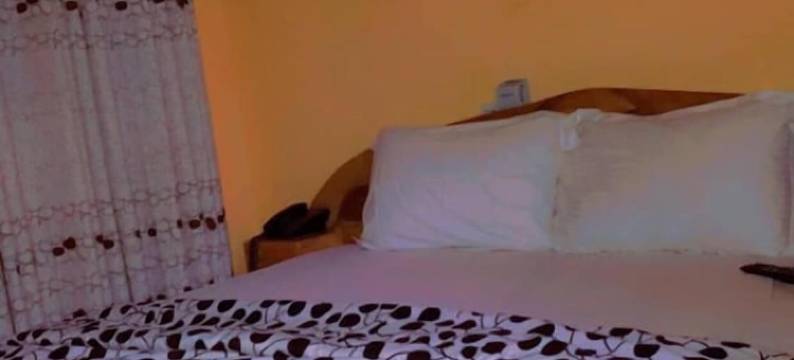 Pat酒店的房间(La Chambre de Pat Hotel)图片