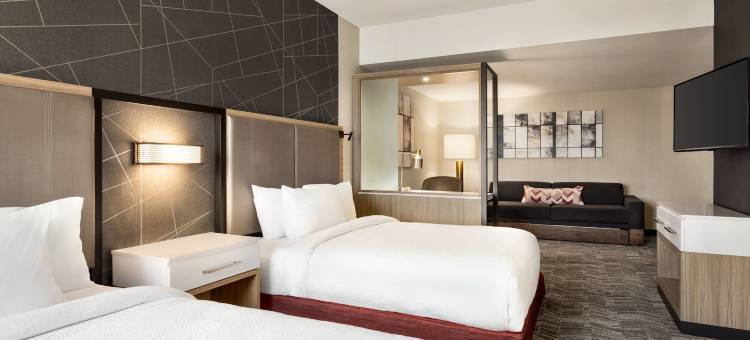 希尔营SpringHill套房酒店(SpringHill Suites Camp Hill)图片