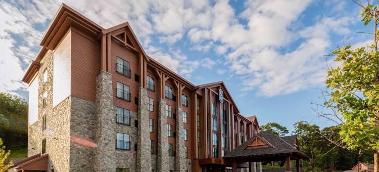 斯威夫特河旅馆(The Swiftwater)图片