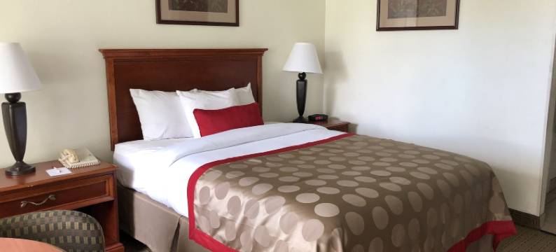 新伊比利亚温德姆华美达酒店(Ramada by Wyndham New Iberia)图片