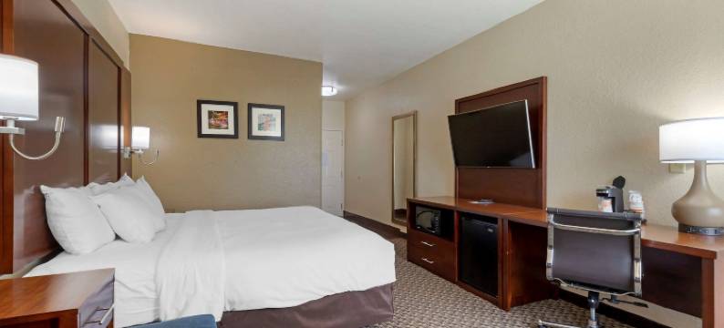 靠近六旗及医疗中心舒适酒店及套房(Comfort Inn & Suites Near Six Flags & Medical Center)图片