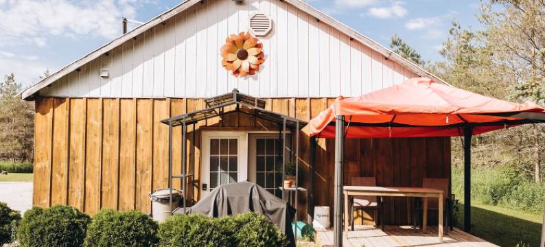 梦想家写作农场(Dreamers Writing Farm)图片