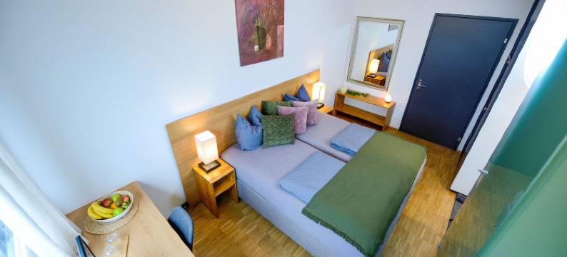 普罗菲斯酒店(Hotel Profis)图片