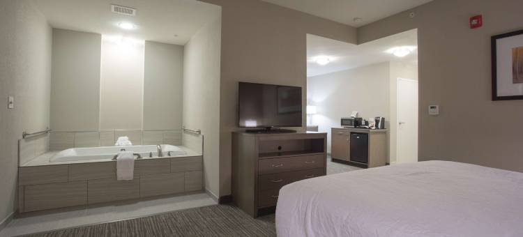 希尔顿花园旅馆-波林布鲁克 I 55(Hilton Garden Inn Bolingbrook)图片