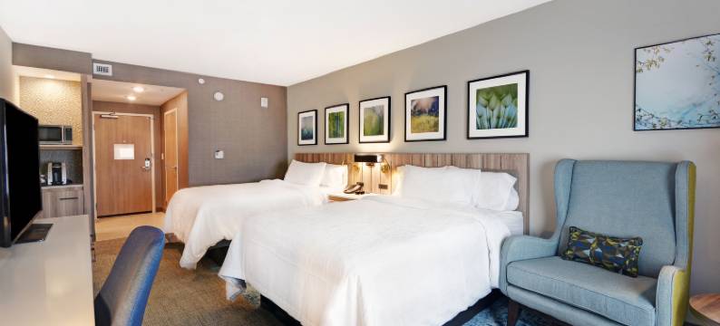 休斯顿霍比机场希尔顿花园酒店(Hilton Garden Inn Houston Hobby Airport)图片