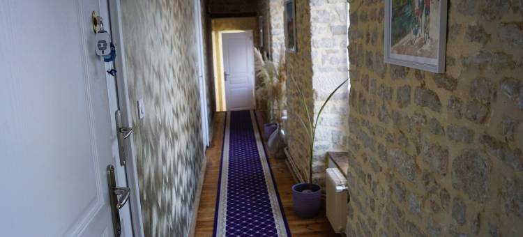 诺曼豹旅馆(Domaine Aux Léopards Normands)图片