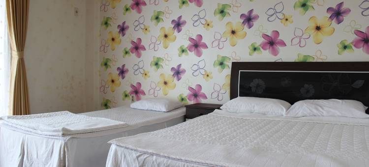 济州感之家旅馆(Jeju Feel House)图片