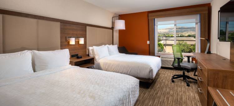 查茨沃斯智选假日套房酒店(Holiday Inn Express & Suites Chatsworth)图片