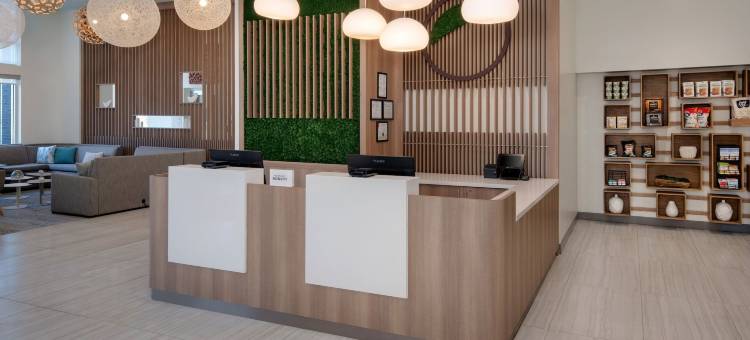 Element Atlanta Buckhead图片