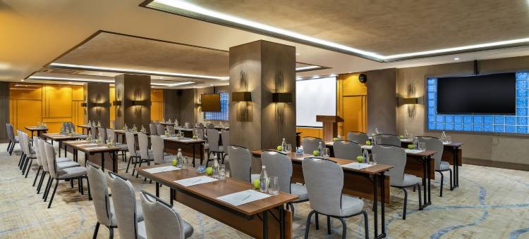 阿斯佩拉阿尔图尼扎德酒店(Aspera Hotel Altunizade)图片