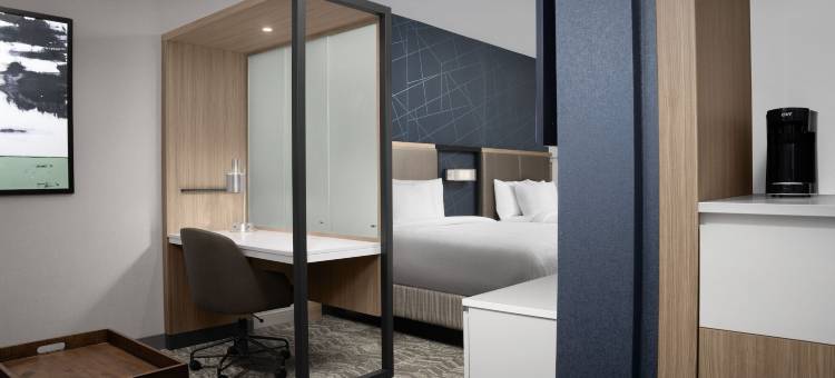 SpringHill Suites Lexington Fritz Farm图片